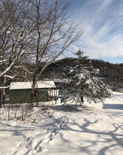 Winter cabin